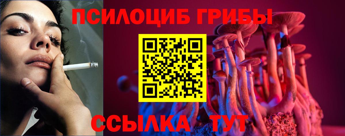 Галлюциногенные грибы GOLDEN TEACHER Ялуторовск